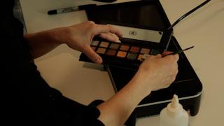 Fit It In! De-Pot Anastasia Subculture Palette