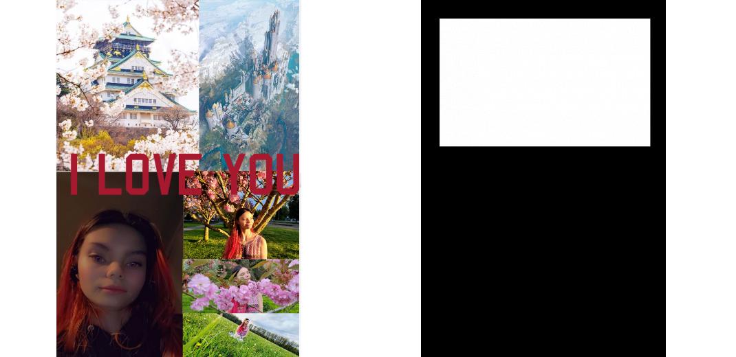 Custom Junior Z Palette