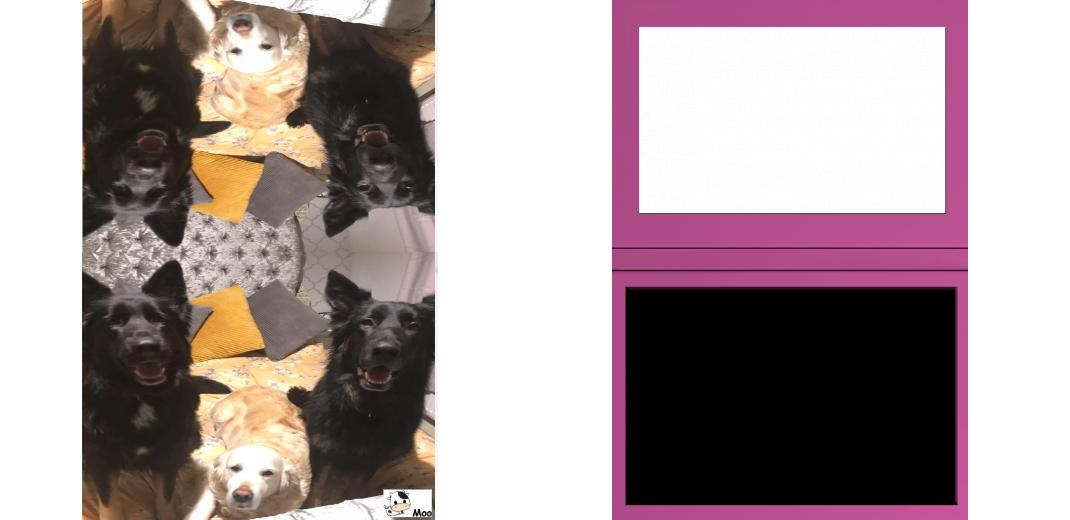 Custom Junior Z Palette