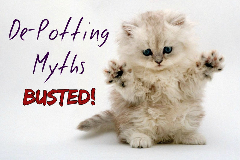 De-Potting Myths — Busted!