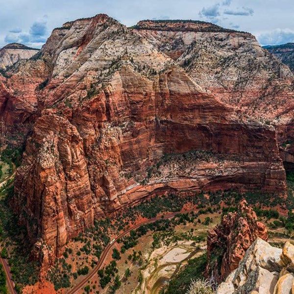 Lion in Zion