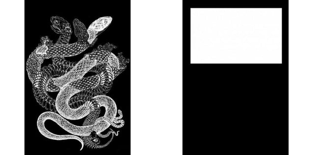 Custom Junior Z Palette