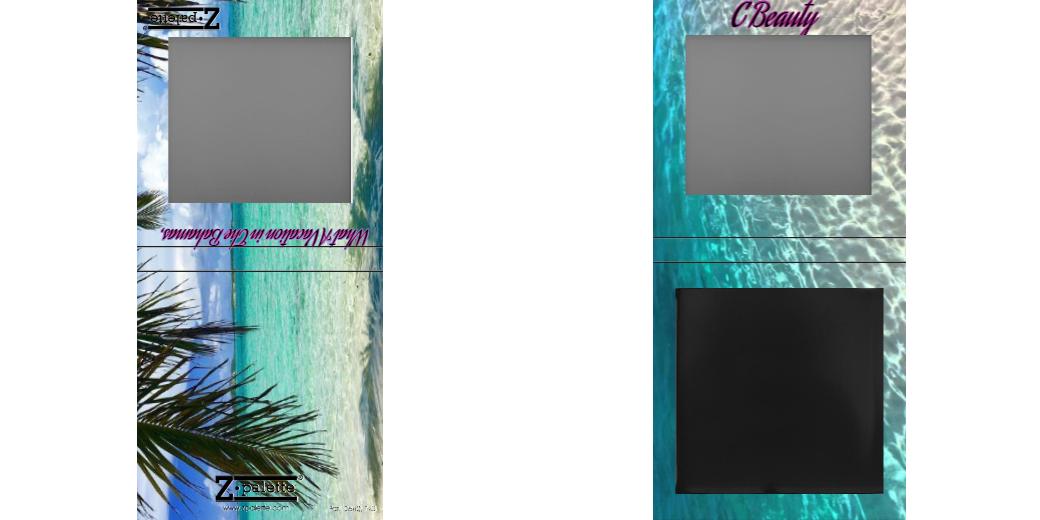 Custom Small Z Palette