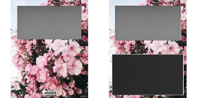 Custom Large Z Palette