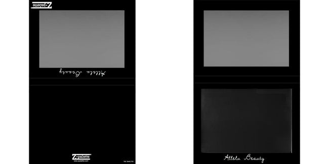 Custom Extra Large Z Palette