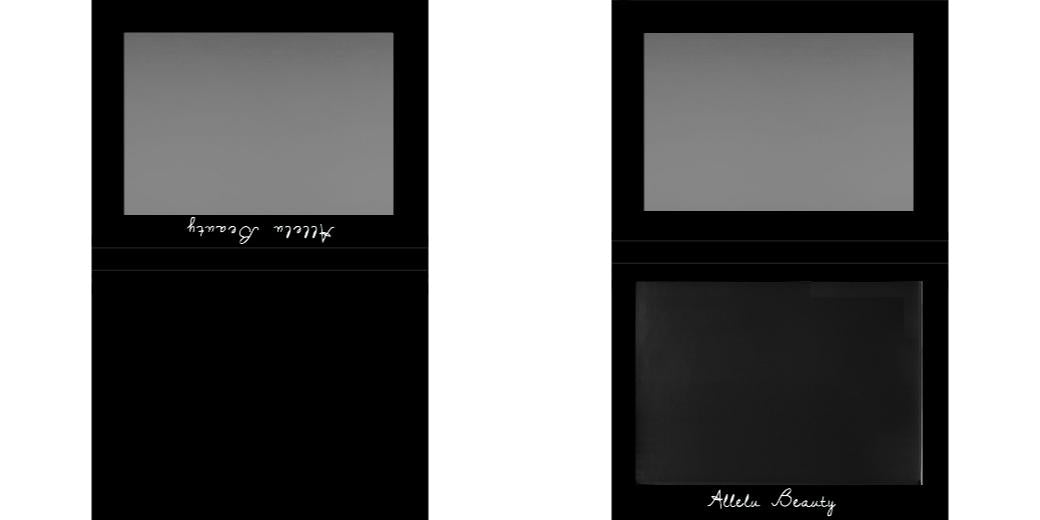 Custom Extra Large Z Palette