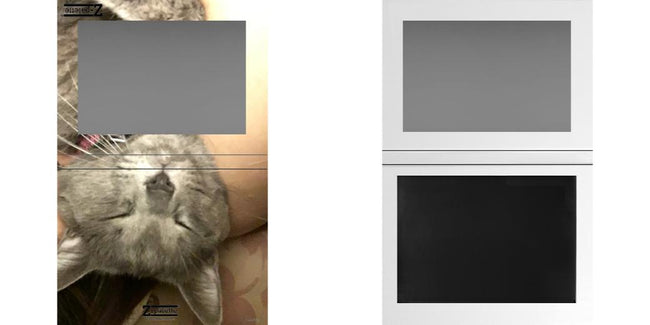 Custom Extra Large Z Palette