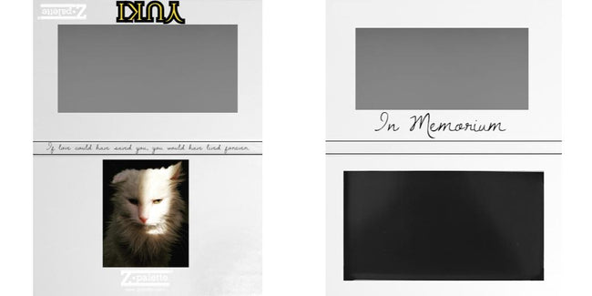 Custom Medium Deep Z Palette