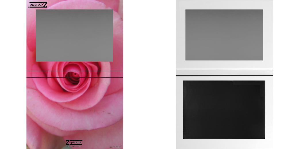 Custom Extra Large Z Palette