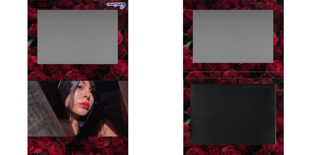 Custom Extra Large Z Palette