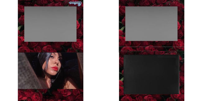 Custom Extra Large Z Palette