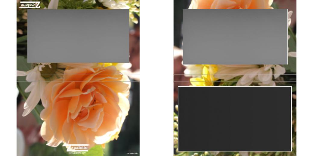 Custom Large Z Palette