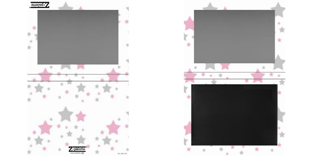 Custom Extra Large Z Palette