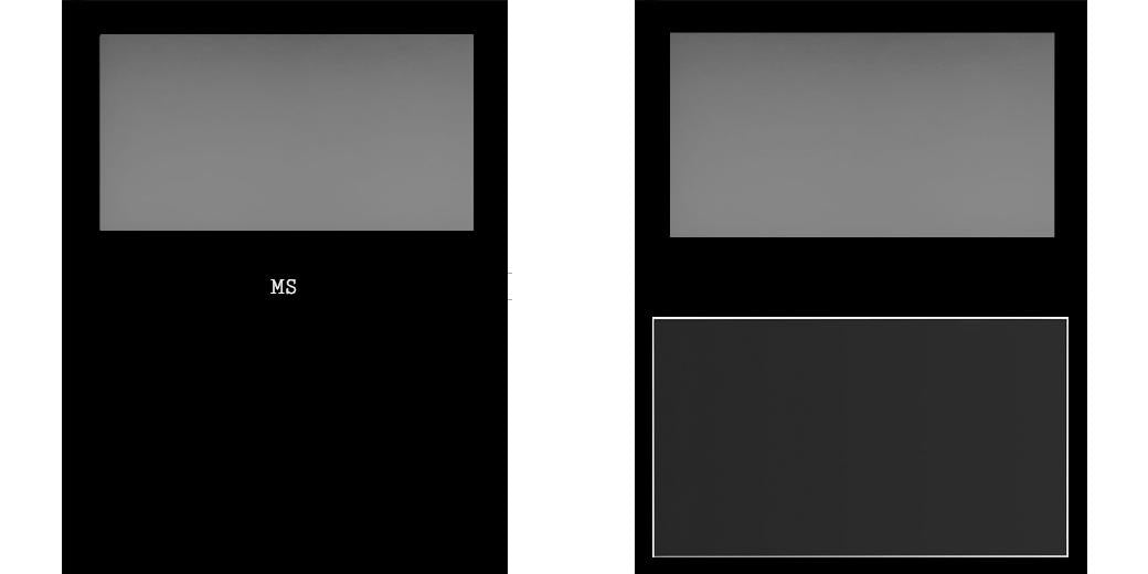 Custom Large Z Palette