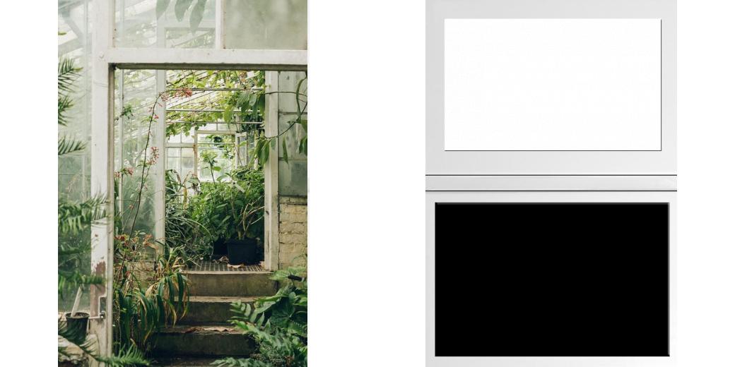 Custom Solid Z Palette