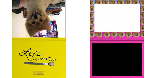 Custom Solid Z Palette