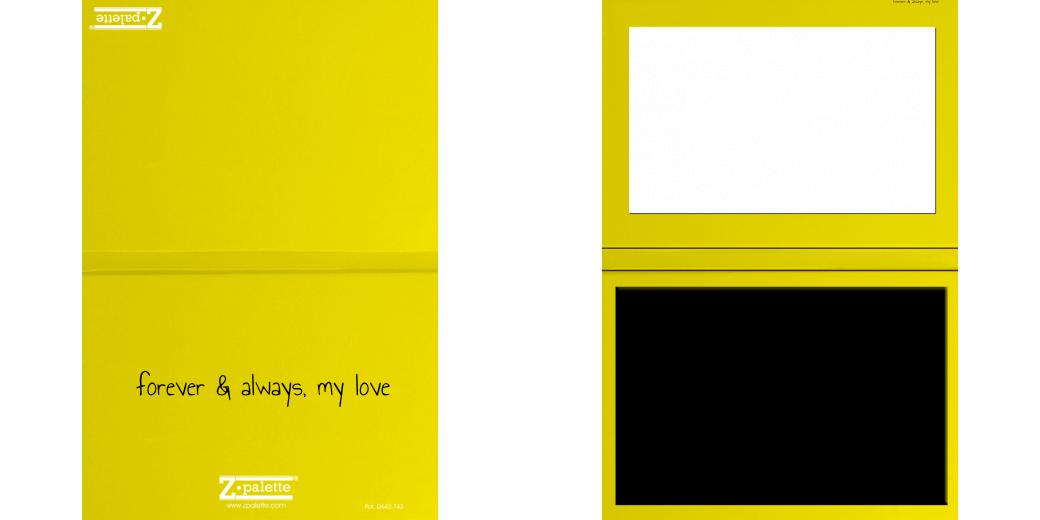 Custom Solid Z Palette