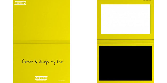 Custom Solid Z Palette