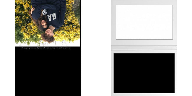 Custom Solid Z Palette