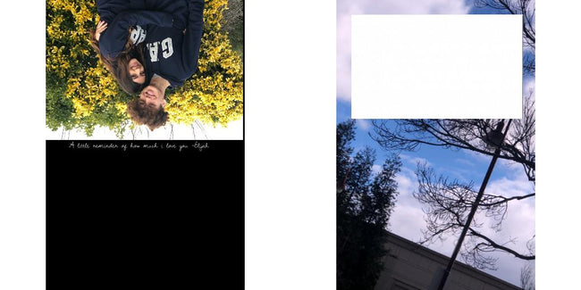 Custom Solid Z Palette