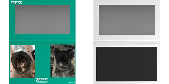 Custom Large Z Palette