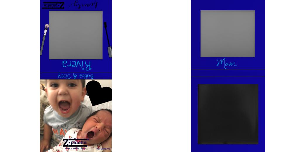 Custom Small Z Palette