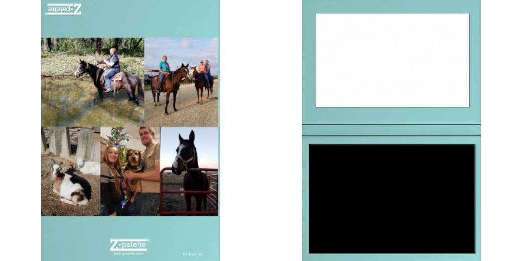 Custom Solid Z Palette