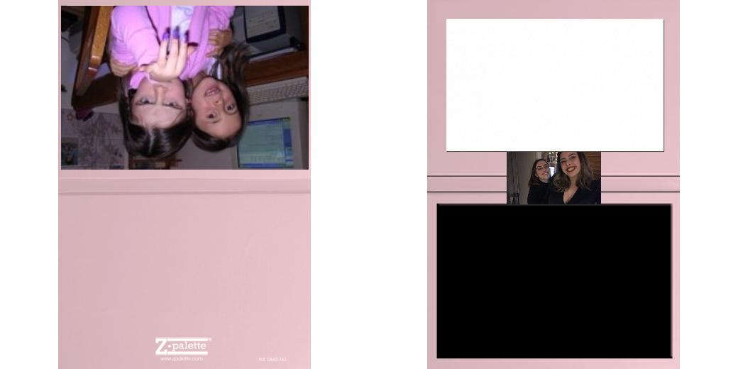 Custom Solid Z Palette