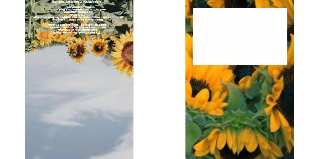 Custom Solid Z Palette