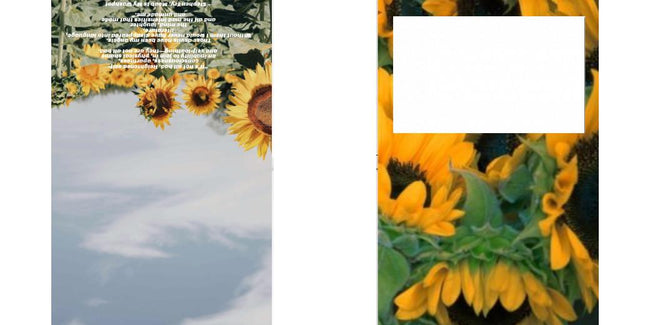 Custom Solid Z Palette