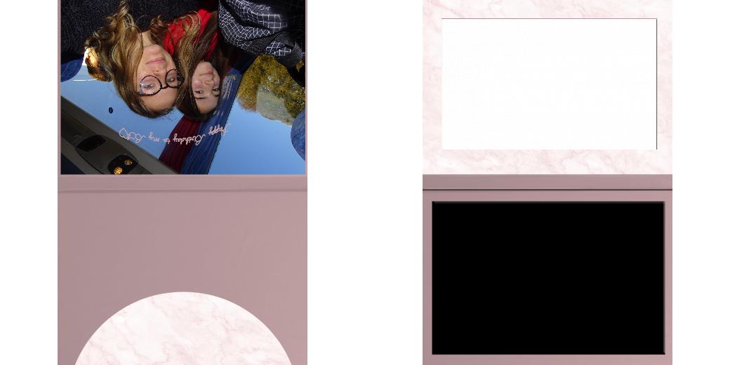 Custom Solid Z Palette