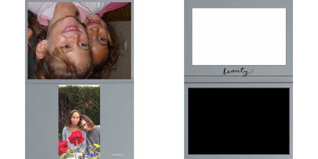 Custom Solid Z Palette