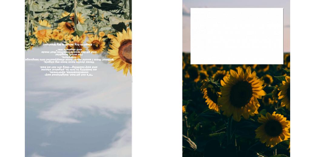 Custom Solid Z Palette