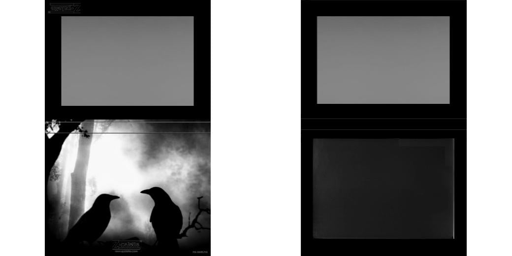 Custom Extra Large Z Palette