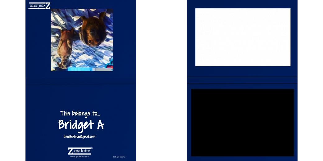 Custom Solid Z Palette