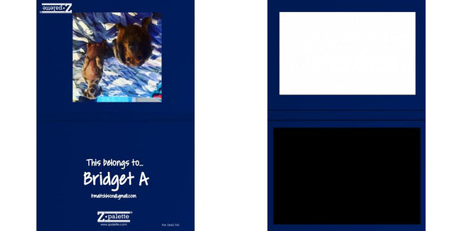 Custom Solid Z Palette