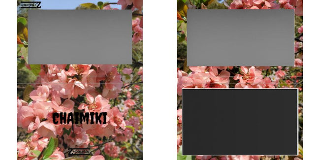 Custom Large Z Palette