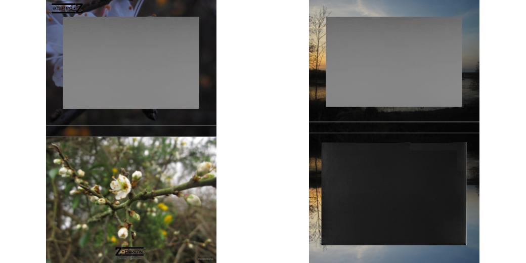 Custom Extra Large Z Palette