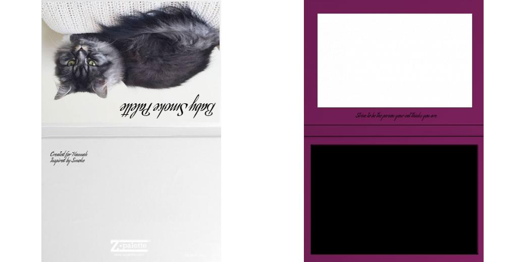 Custom Solid Z Palette