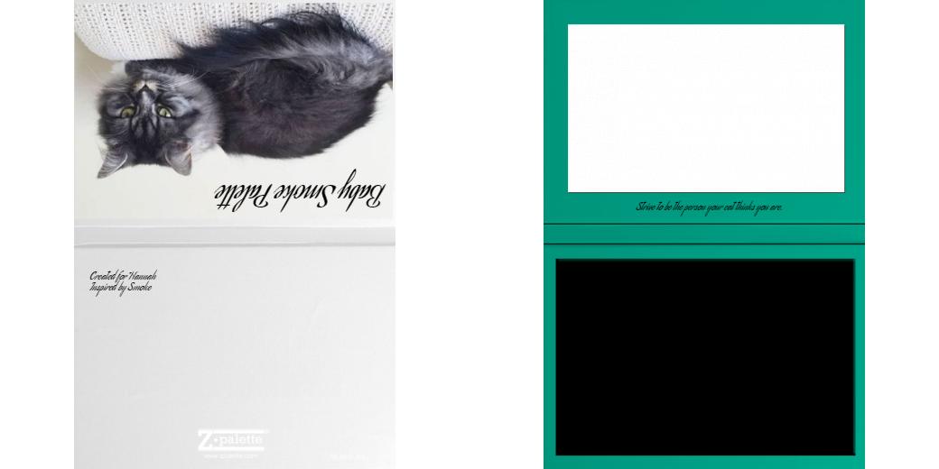 Custom Solid Z Palette