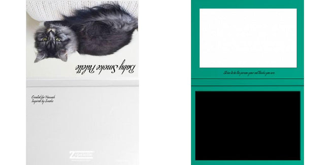 Custom Solid Z Palette