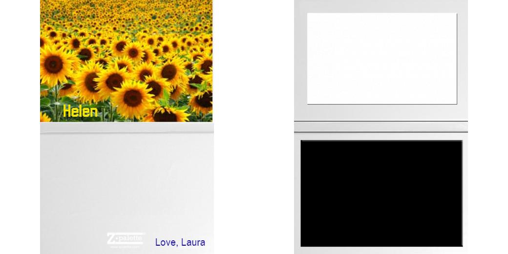 Custom Solid Z Palette