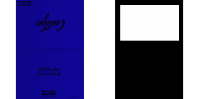 Custom Solid Z Palette