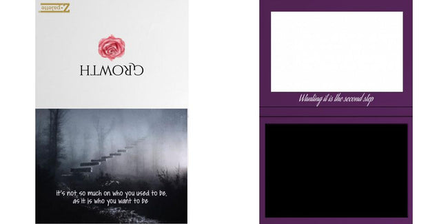 Custom Solid Z Palette