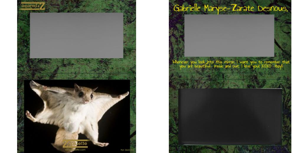 Custom Medium Deep Z Palette