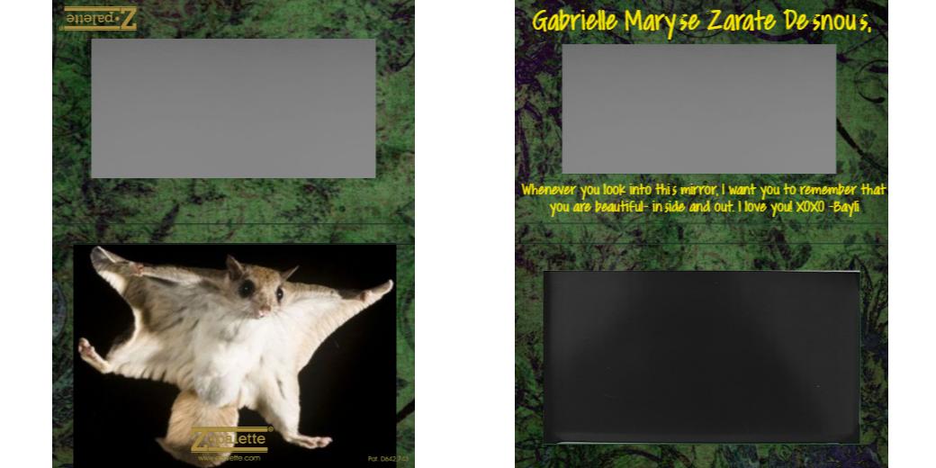 Custom Medium Deep Z Palette