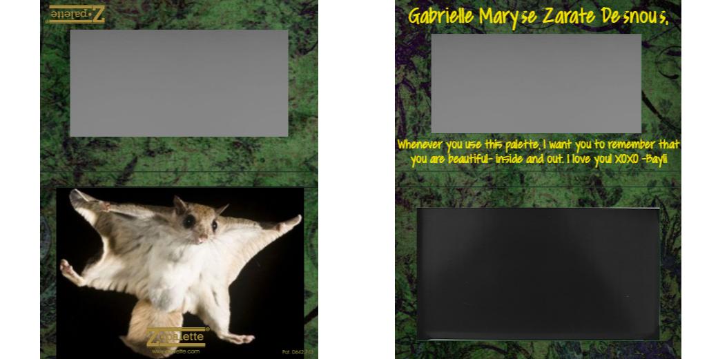 Custom Medium Deep Z Palette