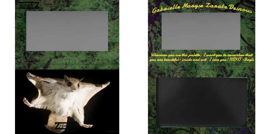 Custom Medium Deep Z Palette