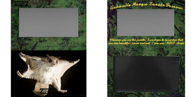 Custom Medium Deep Z Palette