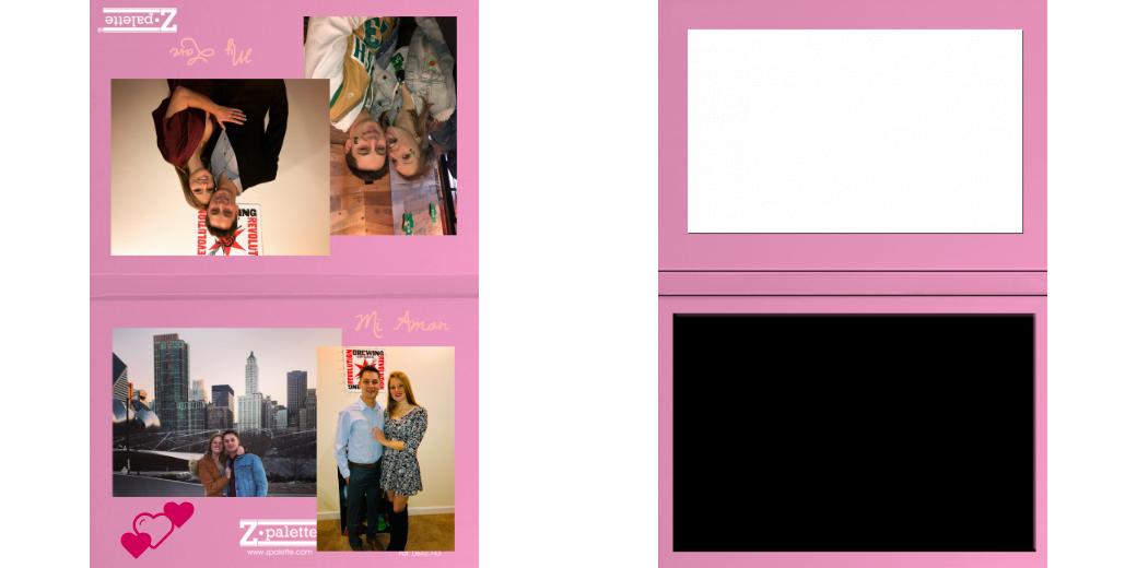 Custom Solid Z Palette